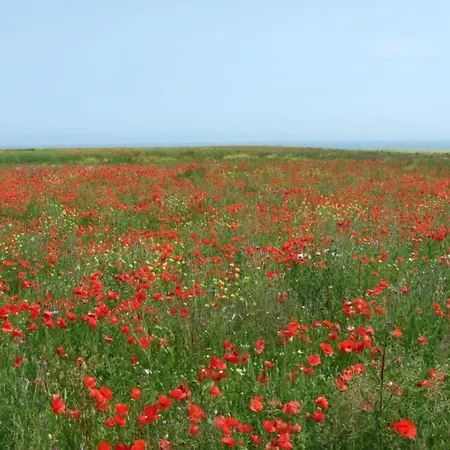 Casa vacanze Holiday Home Near Bayeux & North Sea Beach, Cleaning Included Sainte-Honorine-des-Pertes
